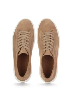 VUEVA | SNEAKER VELOUR BEIGE Clearance
